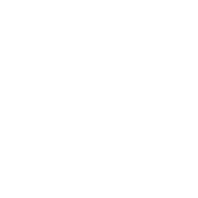 pilot Logo